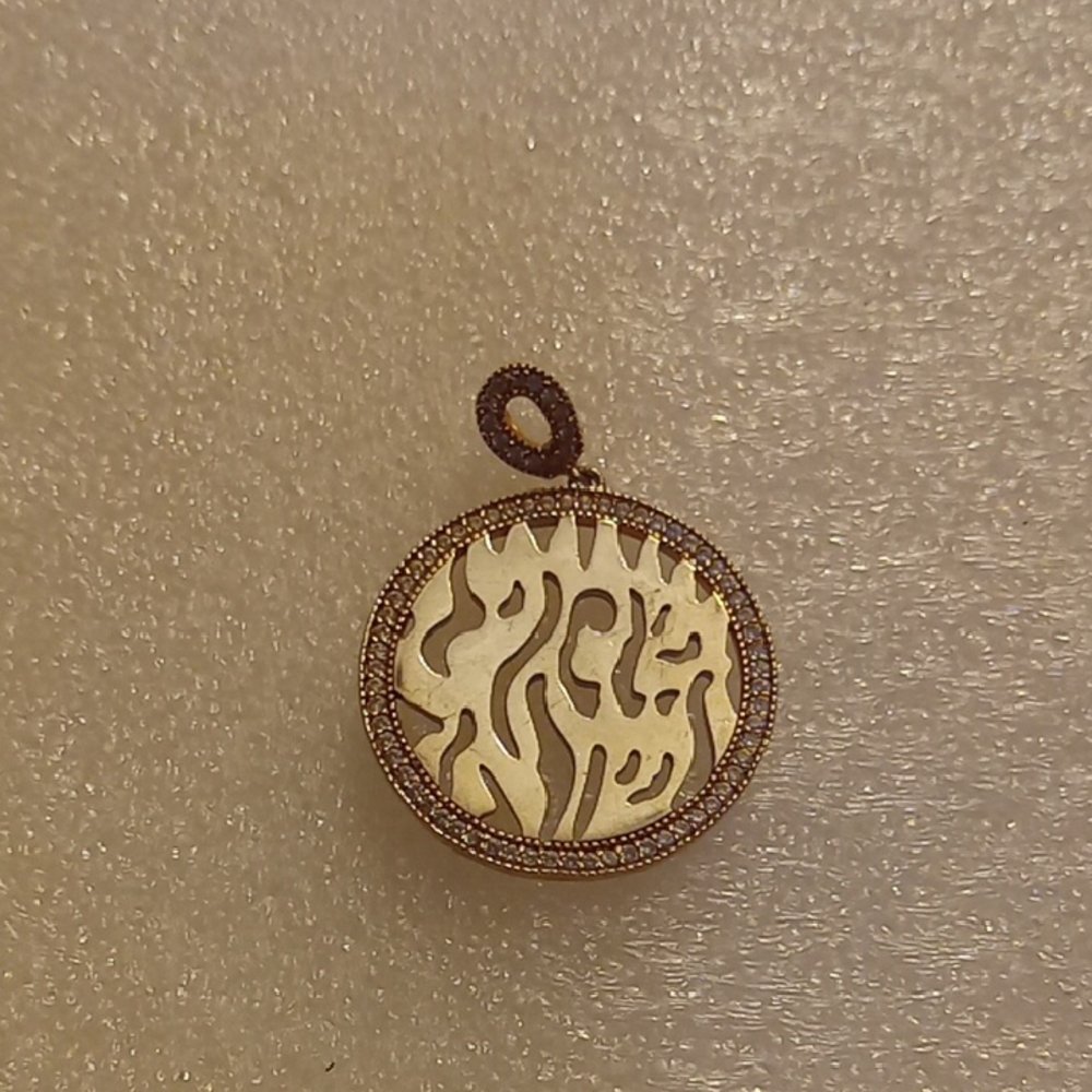 Elegant  Silver Pendant